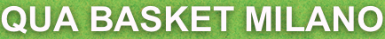 shapeimage_1_link_0
